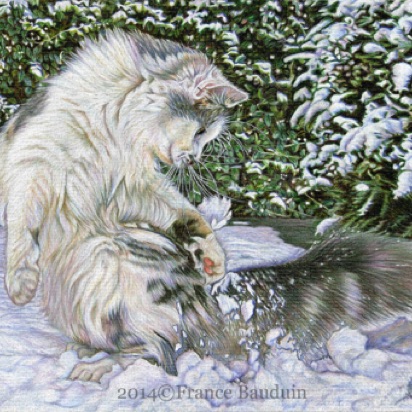 Cat-ching Snowballs - 39 hours
Artists grey paper
7.5" x 11"
Spooky's grand-daughter Cat-ching Snowballs - 39 hours
Artists grey paper
7.5" x 11"
Spooky's grand-daughter